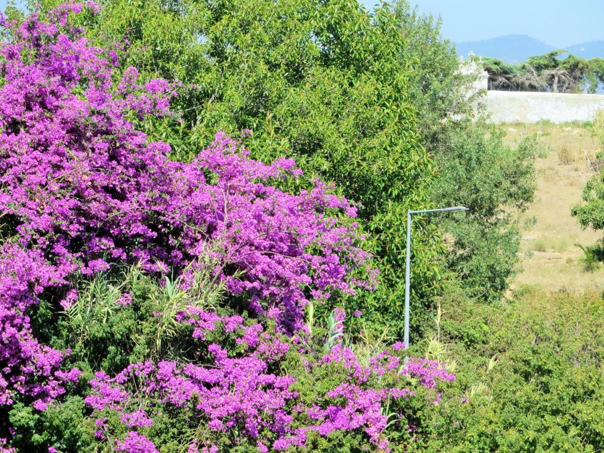 Cais Apartment By Stay In Alentejo Vila Nova de Milfontes Esterno foto